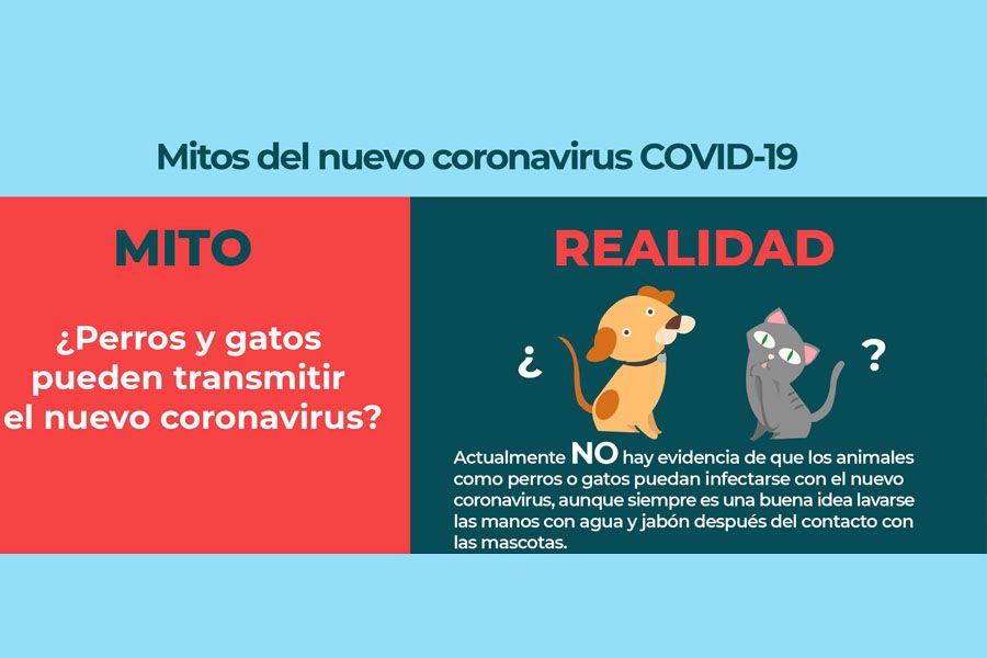 Coronavirus Madrid
