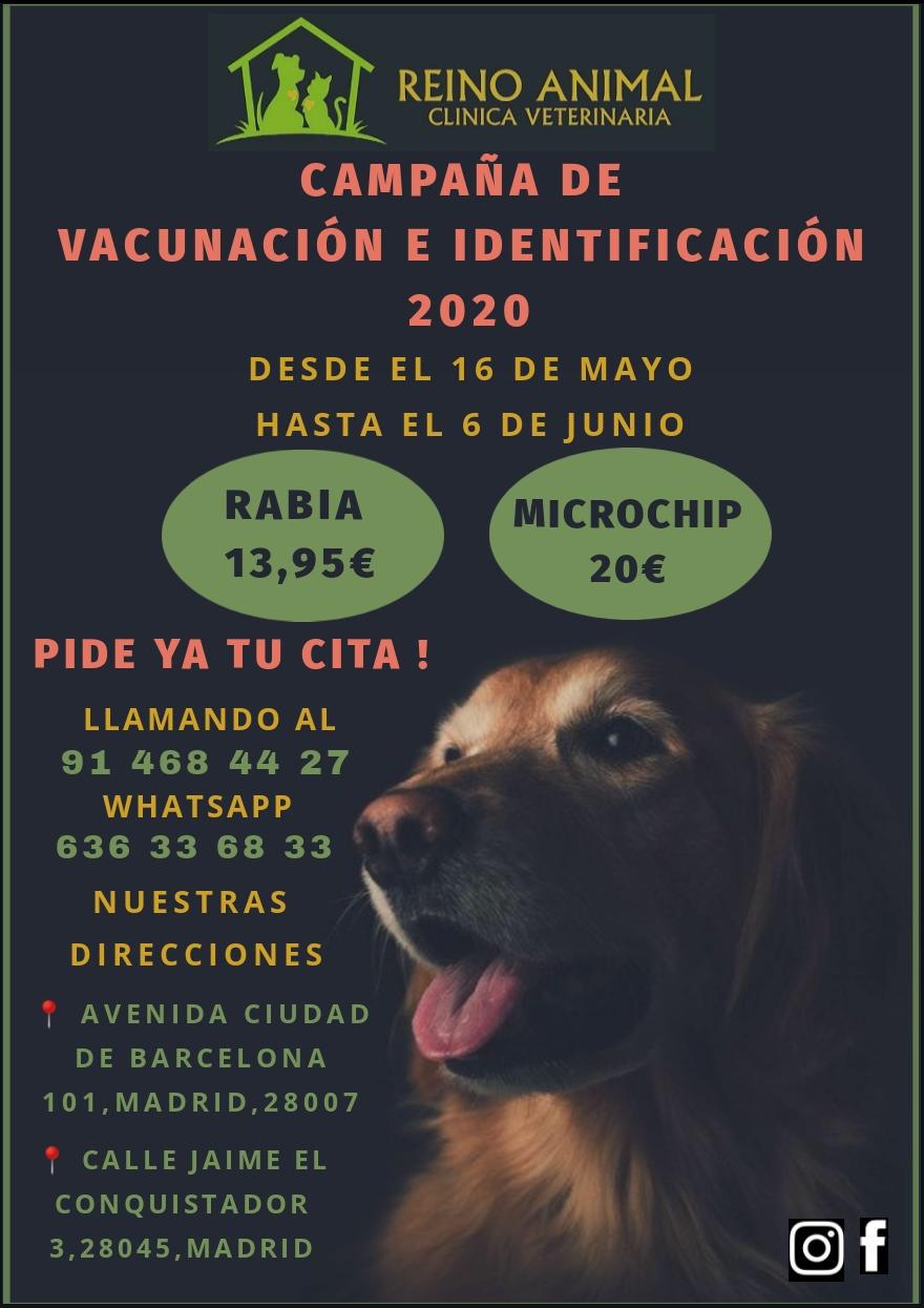 Campañas veterinarias en Madrid – Clínica Veterinaria Reino Animal